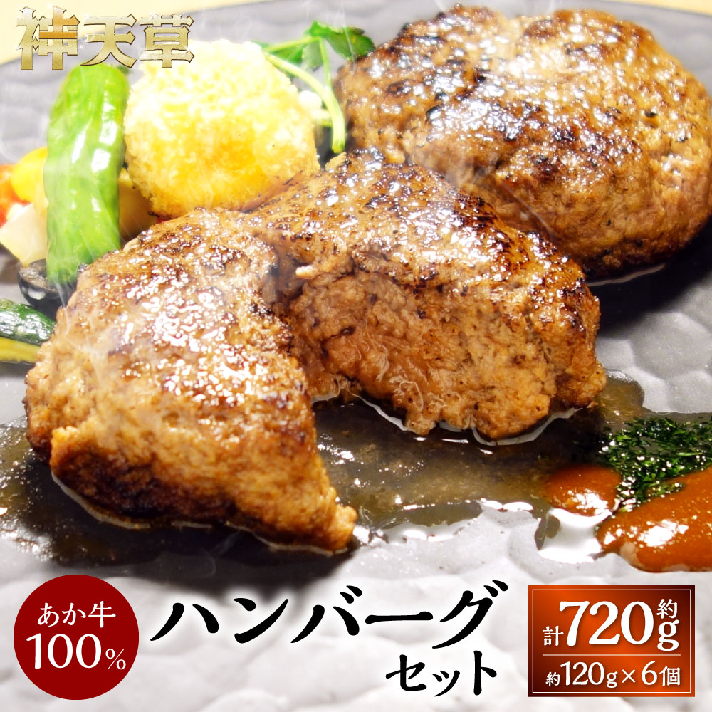 【ふるさと納税】あか牛100％ ハンバーグセット 約120g×6個 牛肉 あか牛 和牛 ハンバーグ おかず 洋食 惣菜 冷凍 国産 九州 熊本 熊本県 上天草市 送料無料