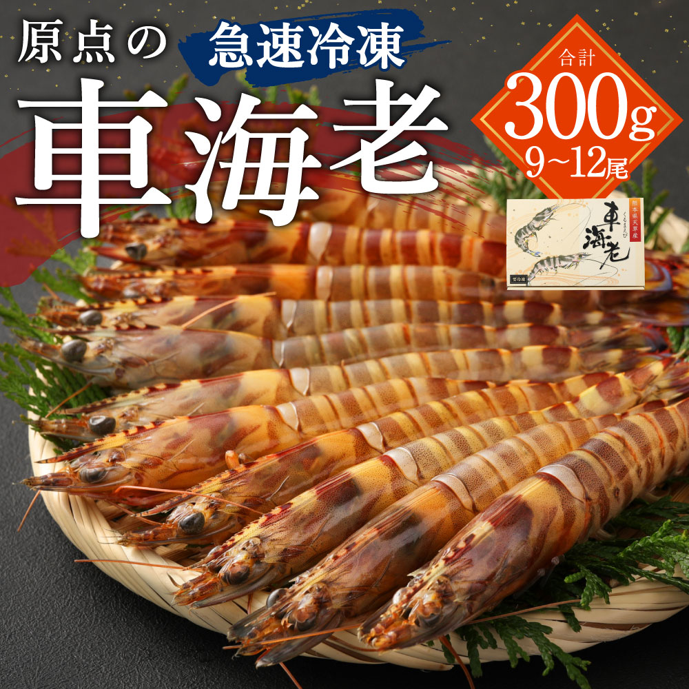 楽天1位 楽天市場 ふるさと納税 原点の車海老 急速冷凍 300g 9 12尾 くるまえび 海老 えび 車海老 海鮮 国産 九州産 熊本県産 冷凍 送料無料 熊本県上天草市 100 本物保証 Www Psht Or Id