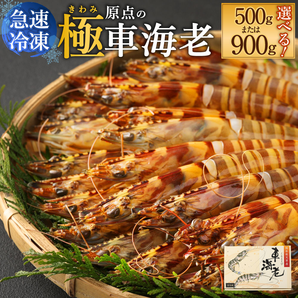 送料無料】大場美奈 久松かおりサイン付 DVD未開封 ヤングアニマル 2015