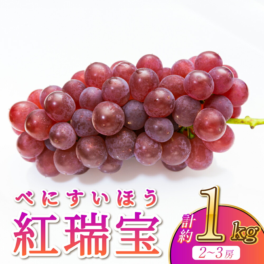 【ふるさと納税】【先行予約】 ぶどう 紅瑞宝 べにずいほう 約1kg 2～3房 河野ぶどう園 葡萄 産地直送 ロゼ 宇城市産 熊本県産 送料無料 河野ぶどう園【2026年8月中旬～9月中旬頃順次発送予定】