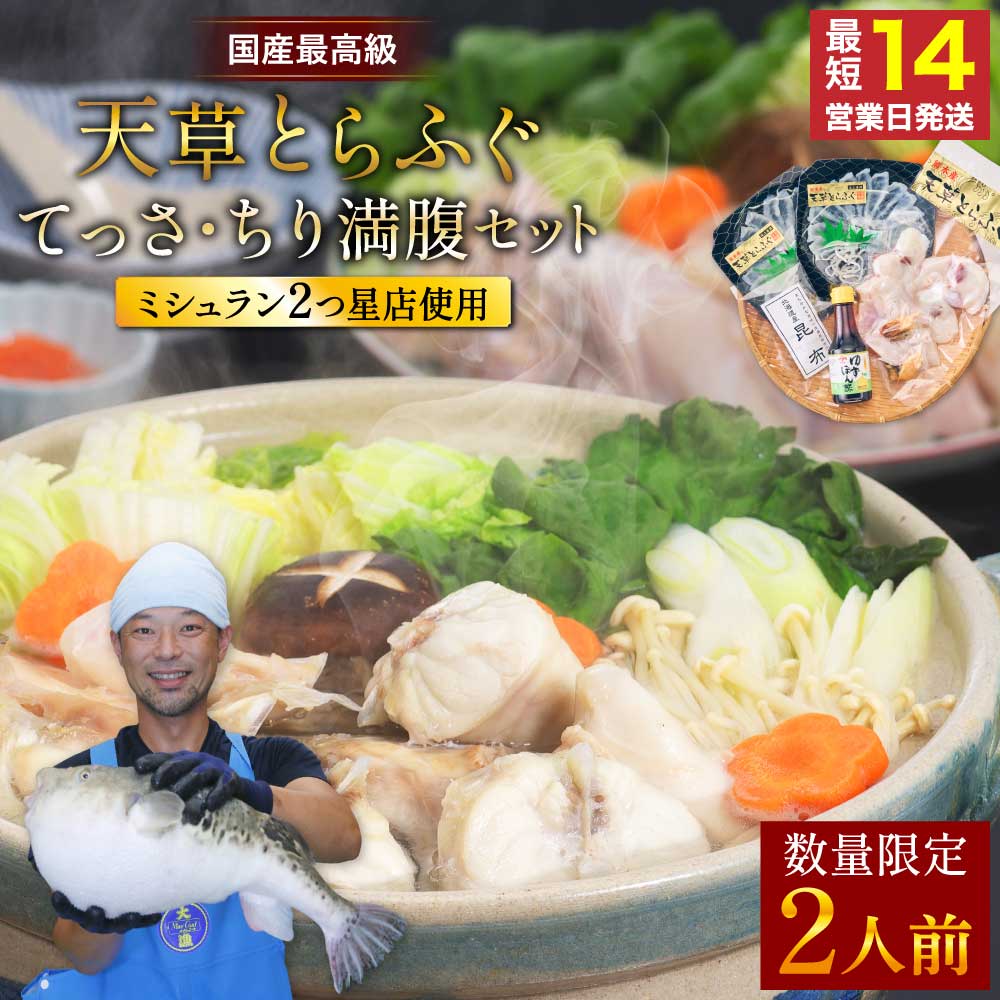 【ふるさと納税】 ふぐ 〈数量限定〉ふぐの王様 とらふぐ 国産最高級 天草とらふぐてっさ・ちり満腹セット (2人前)