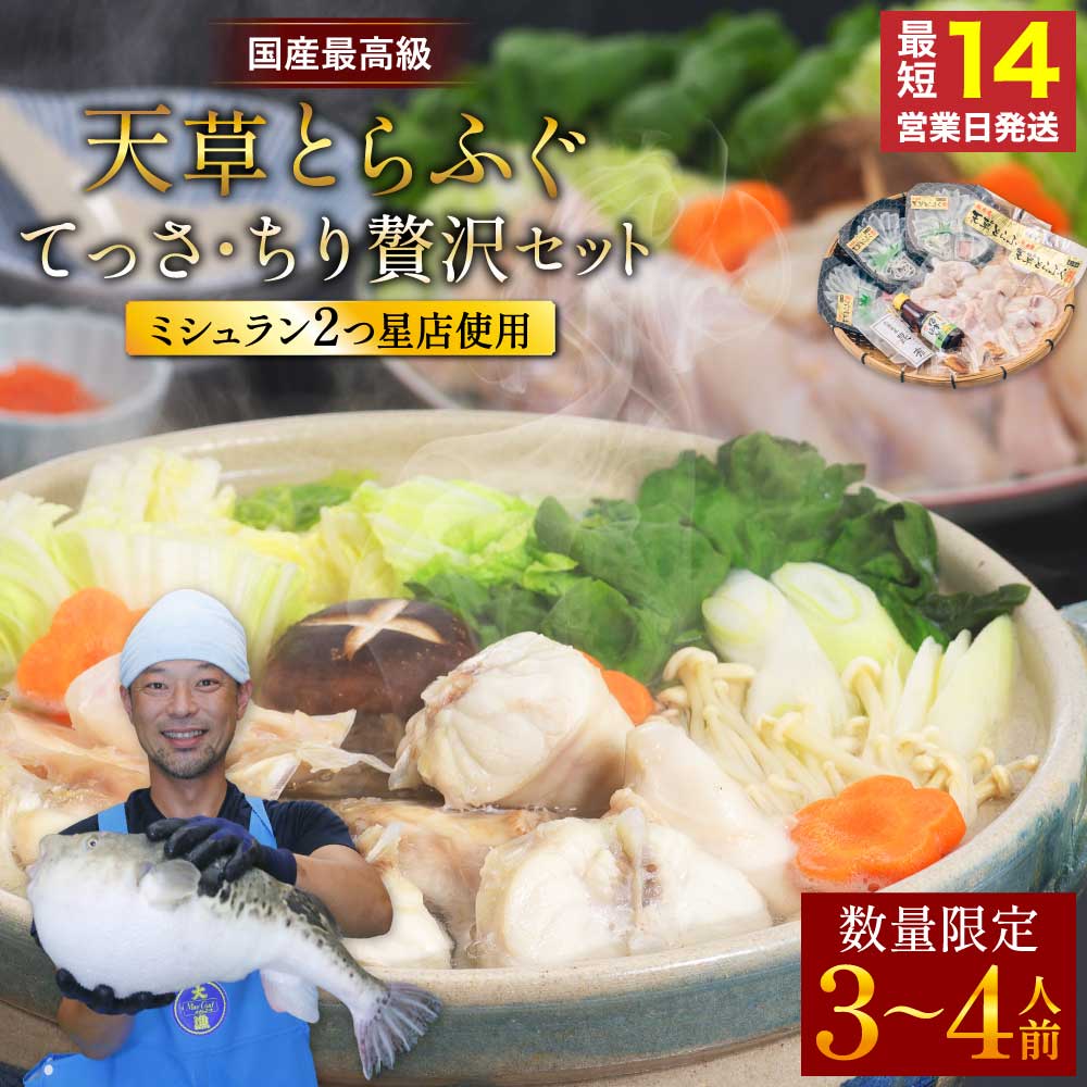 【ふるさと納税】 ふぐ 〈数量限定・緊急支援品〉ふぐの王様 とらふぐ 国産 最高級 天草とらふぐてっさ・ちり贅沢セット (3～4人前)