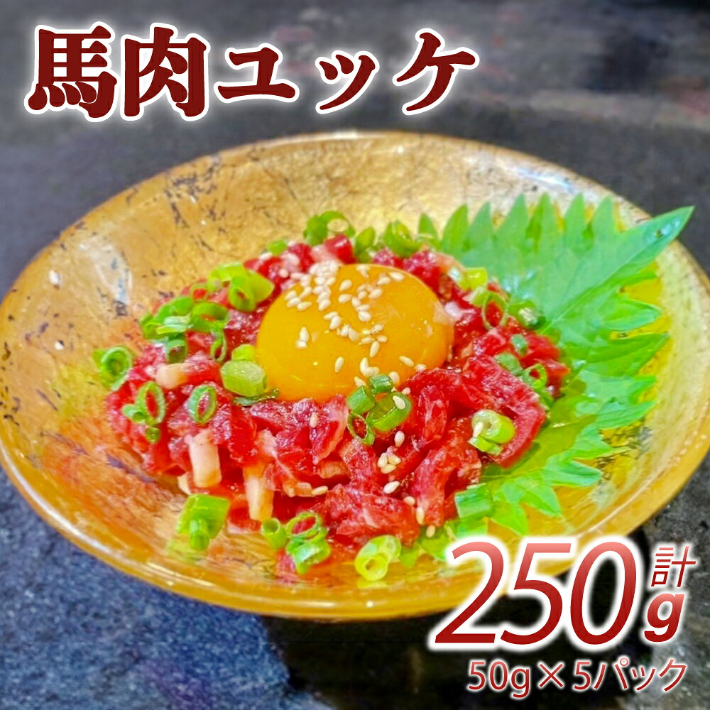 【ふるさと納税】【数量限定】 馬肉 ユッケ 250g 50g×5パック 馬肉 熊本馬刺し 肉 お肉 生食 刺身 刺し身 お取り寄せグルメ 冷凍 熊本県 宇城市 送料無料 株式会社イージャパン|熊本県宇城市