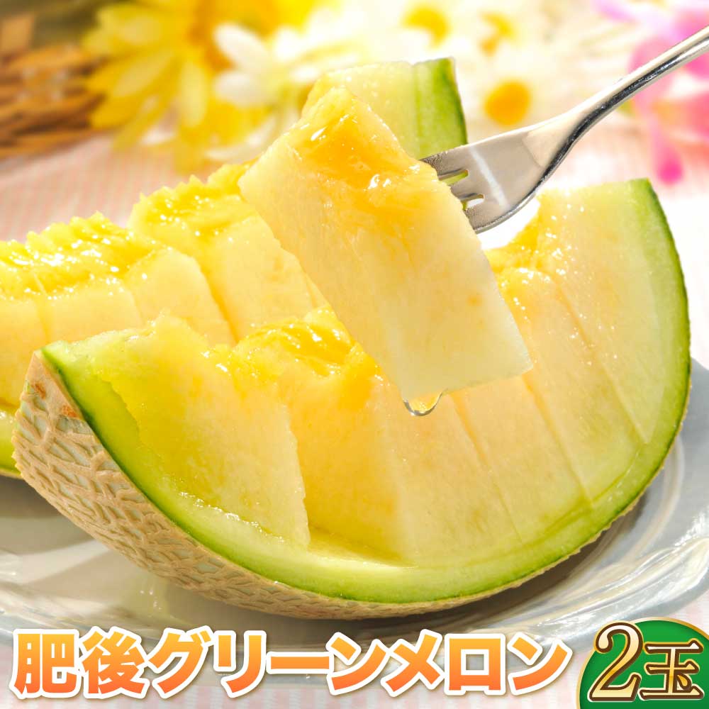 【ふるさと納税】肥後グリーンメロン 2玉 藤山農園【2025年6月中旬から順次発送予定】