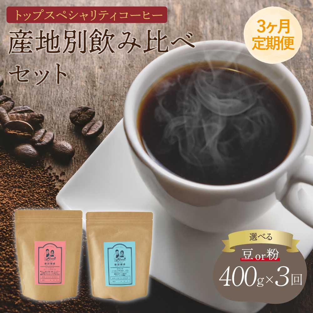 【ふるさと納税】 コーヒー 【3ヶ月定期便】トップスペシャリティコーヒー 【豆or粉】選べる挽き方 珈琲 コーヒー豆 珈琲豆 コーヒー粉 珈琲粉 直火焙煎 送料無料 飯田珈琲｜熊本県宇城市