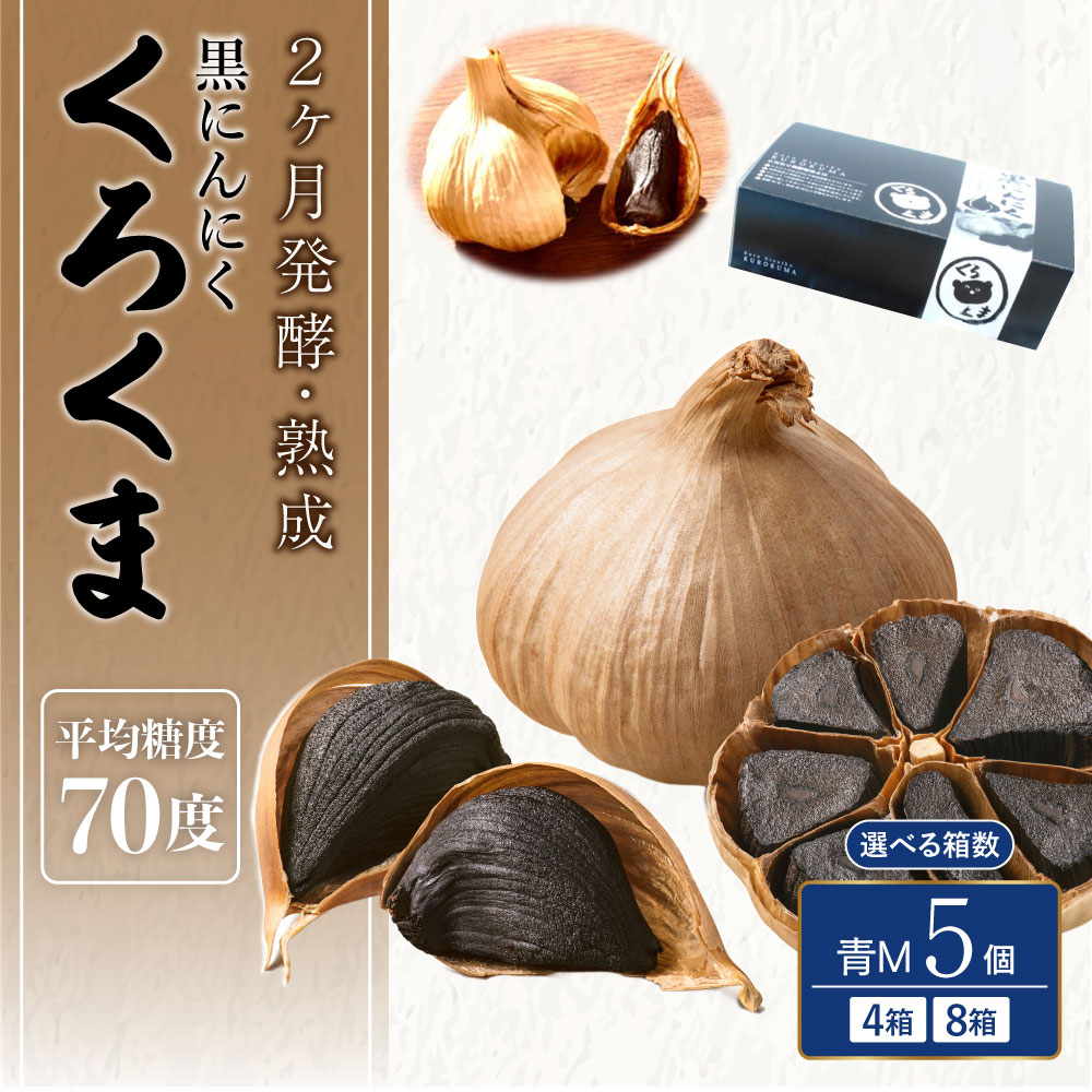 【ふるさと納税】 黒にんにく くろくま M玉 20個 もしくは 40個 1箱あたり5個入