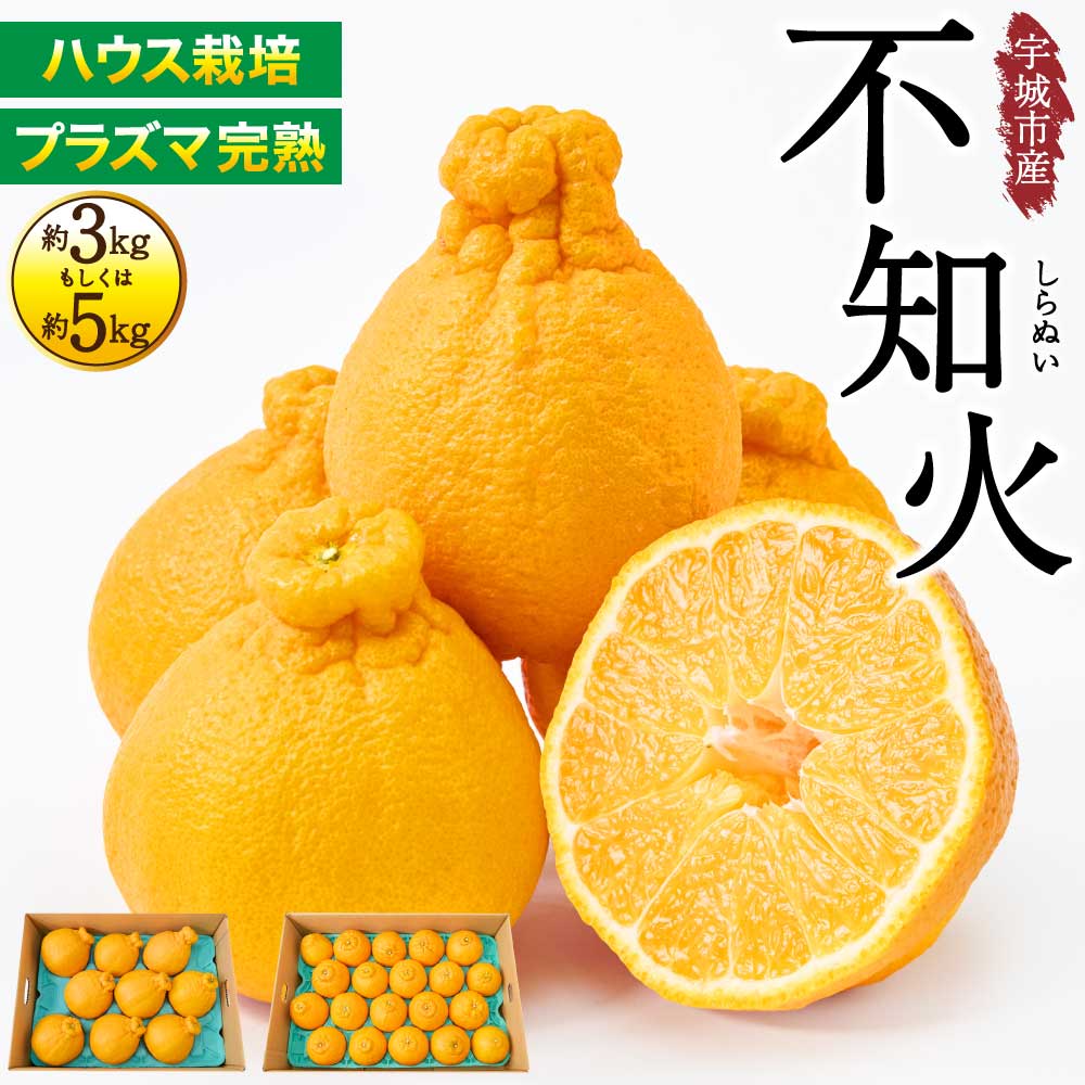 【ふるさと納税】先行予約【選べる内容量】ハウス栽培 プラズマ完熟 不知火 約3kg（7～12玉）もしくは 約5kg（15～22玉） 【2027年3月上旬から2027年4月中旬発送予定】 しらぬい みかん 蜜柑 柑橘 国産 九州 熊本県 宇城市 株式会社la Nui.｜熊本県宇城市 16,790円