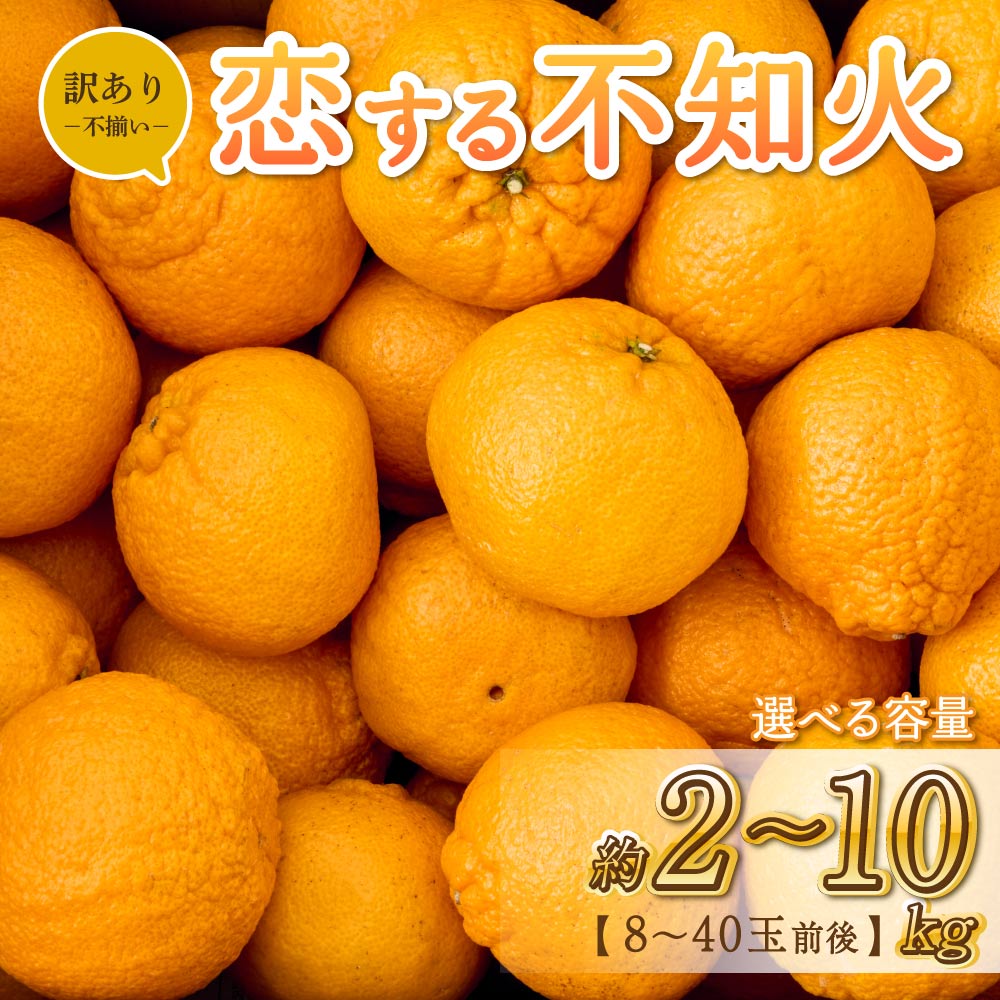 【ふるさと納税】【先行予約】訳あり 不知火 恋する不知火 選べる容量 （約2kg/7.5kg/10kg） 8～40玉 【2025年4月上旬から2025年6月下旬発送予定】 御舩果樹園