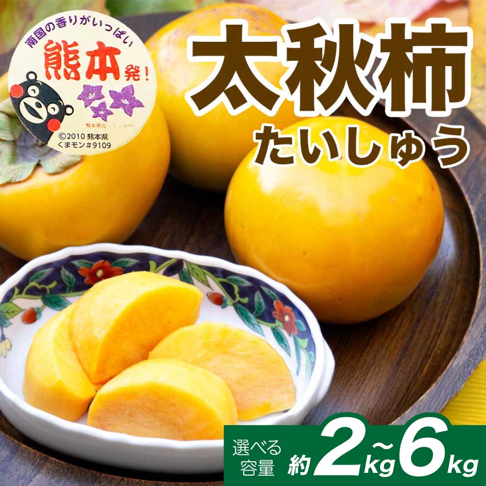 【ふるさと納税】 先行予約 太秋柿 選べる容量 約2kg (4～8玉) 約3kg (8～15玉) 約6kg (16～30玉)【2026年9月上旬～10月下旬発送予定】柿 かき 果物 フルーツ くだもの 柑橘 柑橘類 フルーツ 国産 熊本 熊本県 九州 産地直送 日本フルーツ｜熊本県宇城市