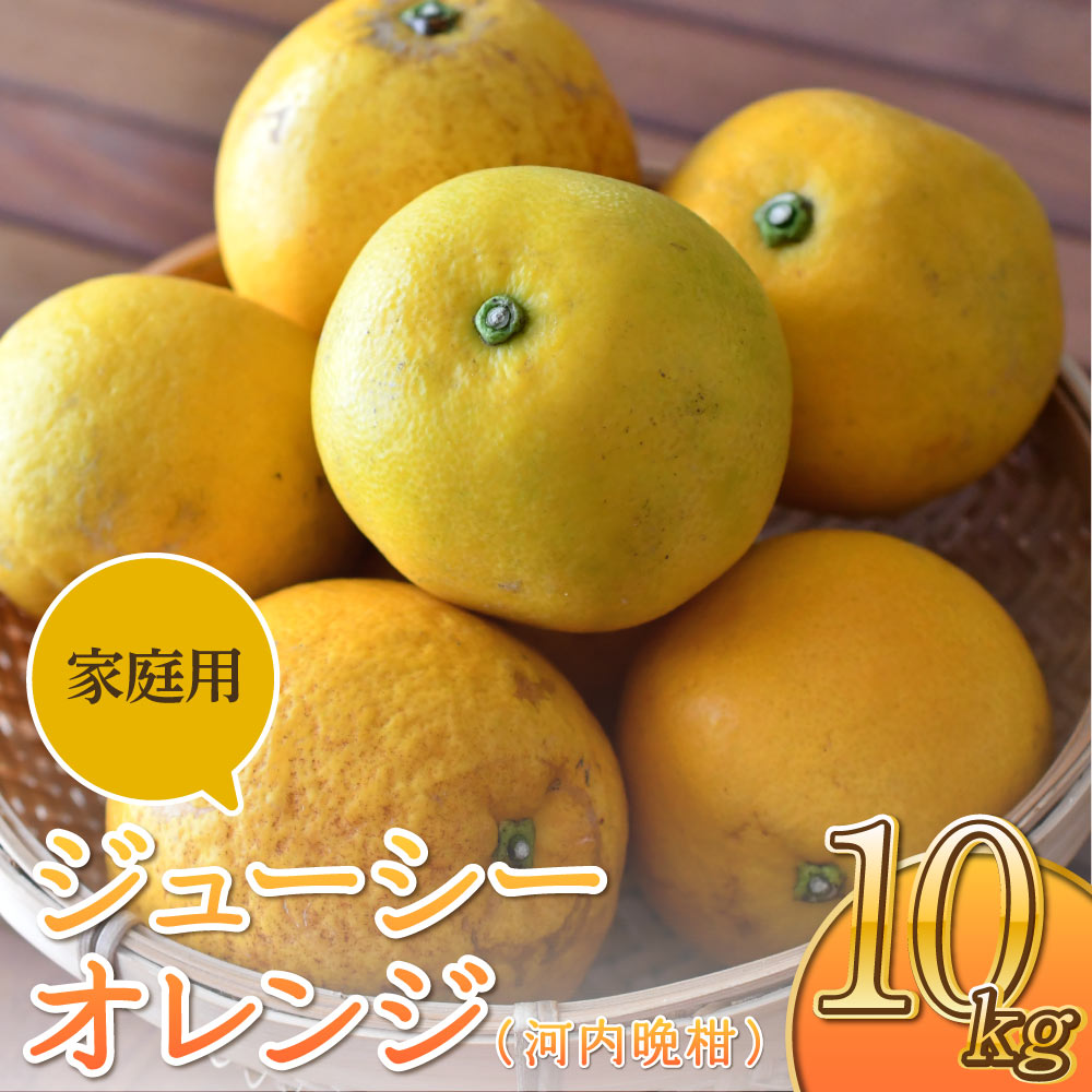 【ふるさと納税】【先行予約】 ジューシーオレンジ 河内晩柑 家庭用 約10kg ※20玉～25玉前後 のむちゃん農園 【2025年4月上旬～7月上旬発送予定】
