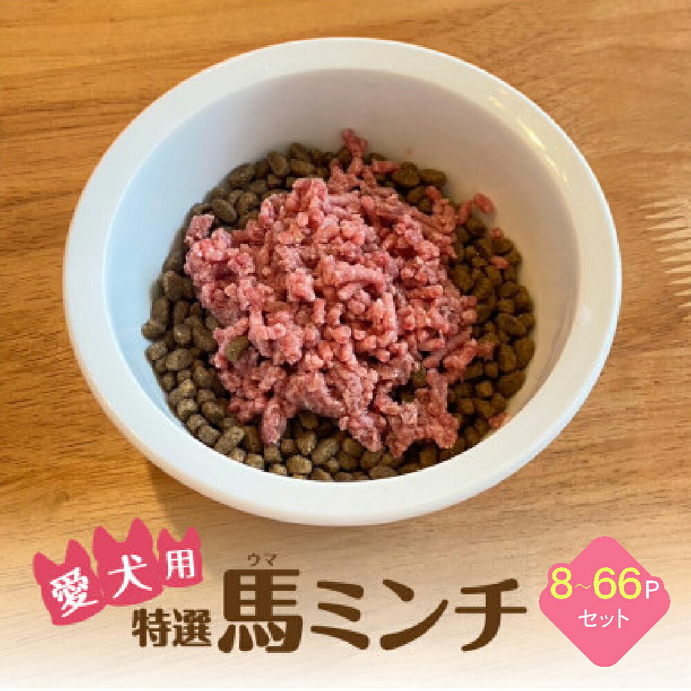 【ふるさと納税】特選馬ミンチ45g 8～66パックセット ワンちゃん大喜び 馬肉ミンチ 犬用ミンチ 冷凍ミンチ 高タンパク 栄養満点 小分けパック 選べるセット容量 熊本県 宇城市 大阪馬肉屋TMP｜熊本県宇城市