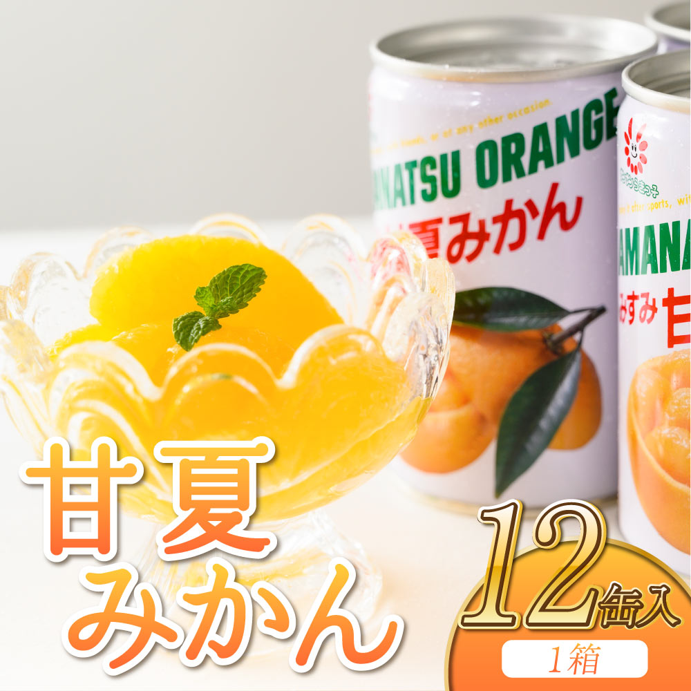 【ふるさと納税】甘夏みかん 甘夏缶詰 12缶 (１缶 固形量160g)