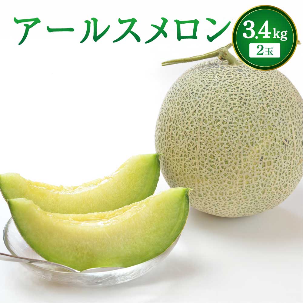 【ふるさと納税】【先行予約】 メロン アールスメロン 2玉入り 合計 約3.4kg 【2025年6月上旬から下旬に順次発送予定】