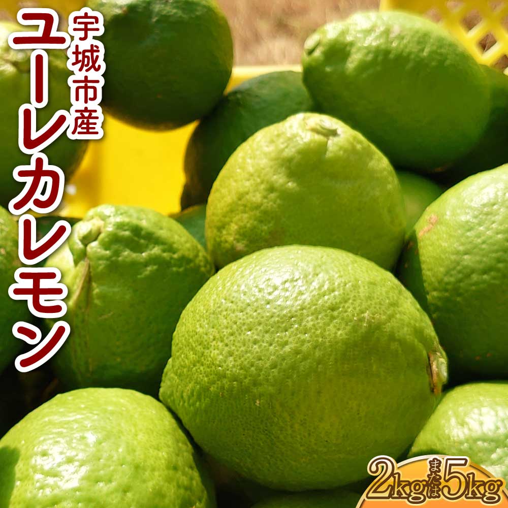 【ふるさと納税】先行受付 ユーレカレモン 選べる容量約2kg（20玉前後）または 約5kg（35玉前後） 清水果樹園 【2025年9月下旬から11月下旬発送予定】