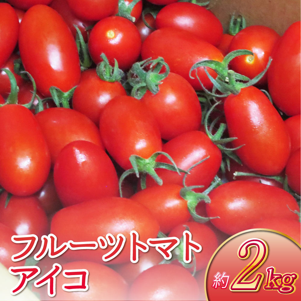 【ふるさと納税】宇城市産 フルーツトマト アイコ 約2kg しんたのトマト農園 【6月下旬までに発送予定】