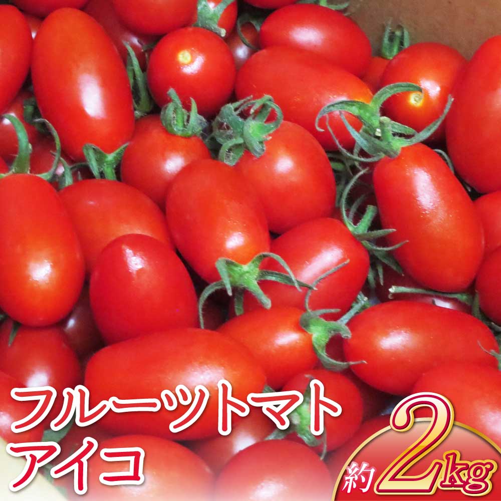 【ふるさと納税】フルーツトマト アイコ 約2kg 【2026年4月上旬~6月中旬頃順次発送予定】トマト とまと 野菜 濃厚 ケース 箱 1箱 国産 九州 熊本県 宇城市 送料無料 しんたのトマト農園 宇城市産