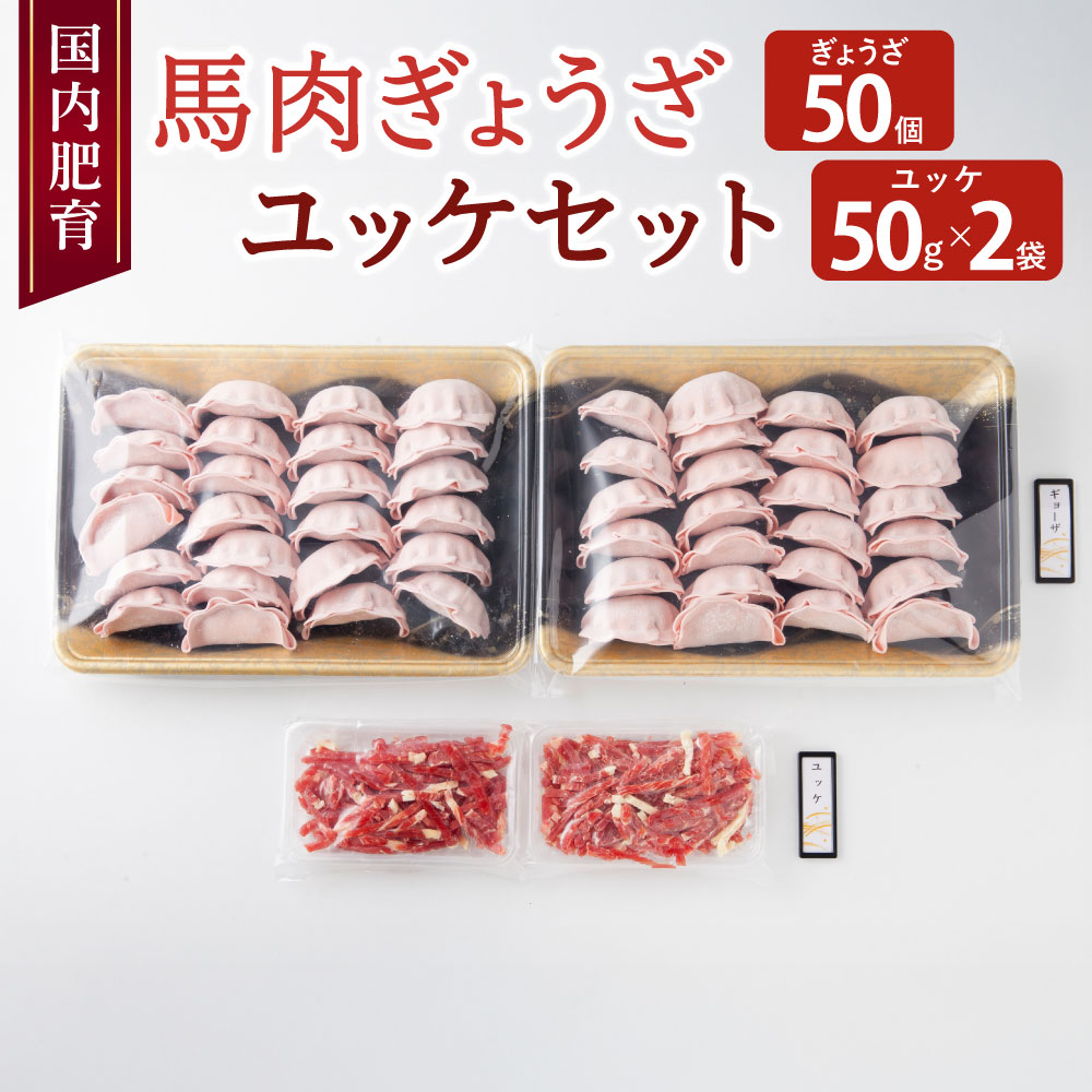 【ふるさと納税】【国内肥育】馬肉 ぎょうざ 50個 馬肉 ユッケ 100g セット ユッケタレ付き 馬刺し お肉 肉 餃子 総菜 真空パック 小分け 冷凍 熊本県 宇城市 送料無料 くまもと食彩の力|熊本県宇城市