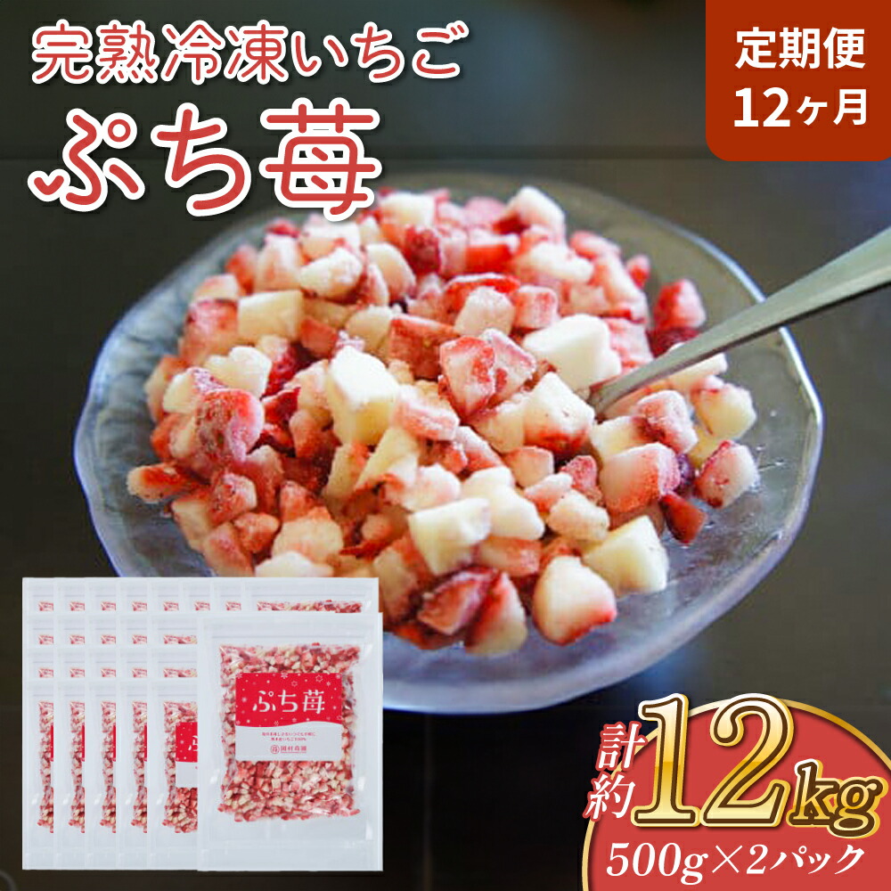 リチャードジノリ インペロコンテッサ ネロ グリーン プレート 2枚