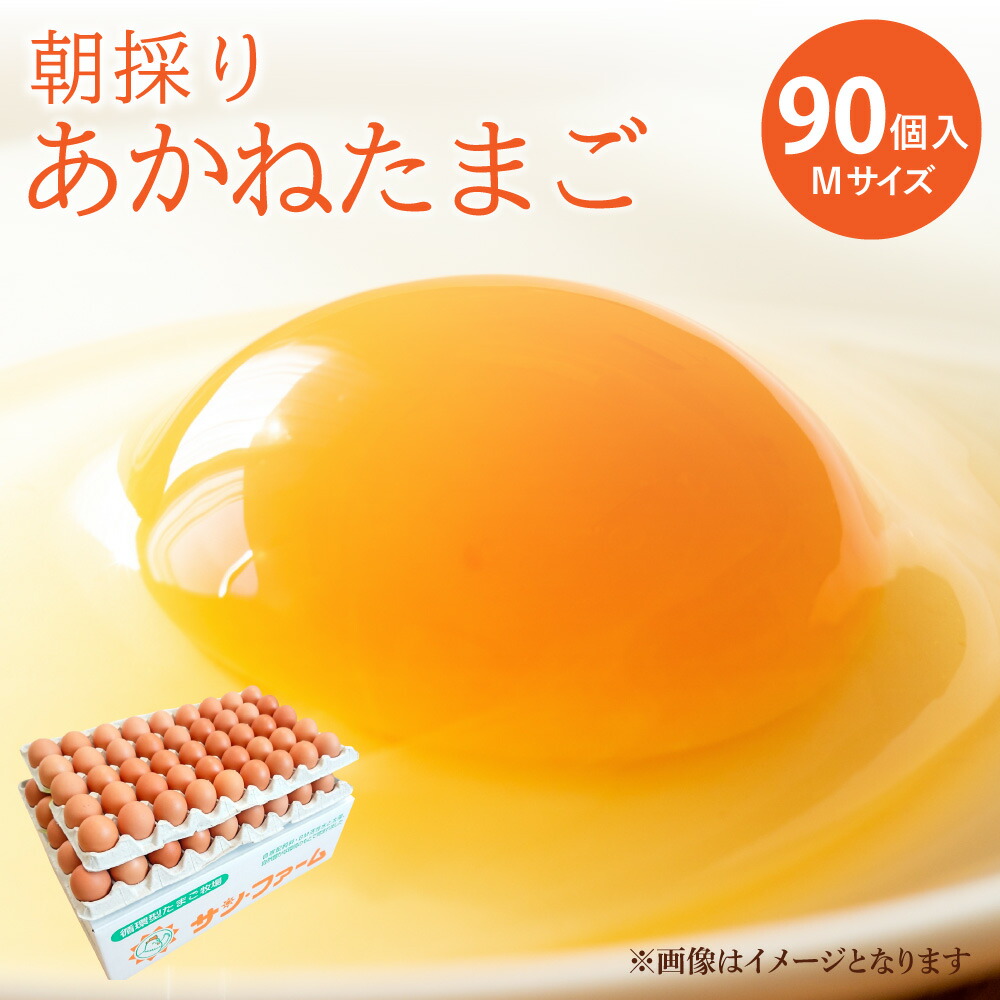【ふるさと納税】 卵 朝採り あかねたまご 90個入 10個破損補償含む