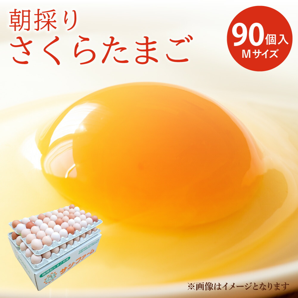 【ふるさと納税】 卵 朝採り さくらたまご 90個入 10個破損補償含む Mサイズ