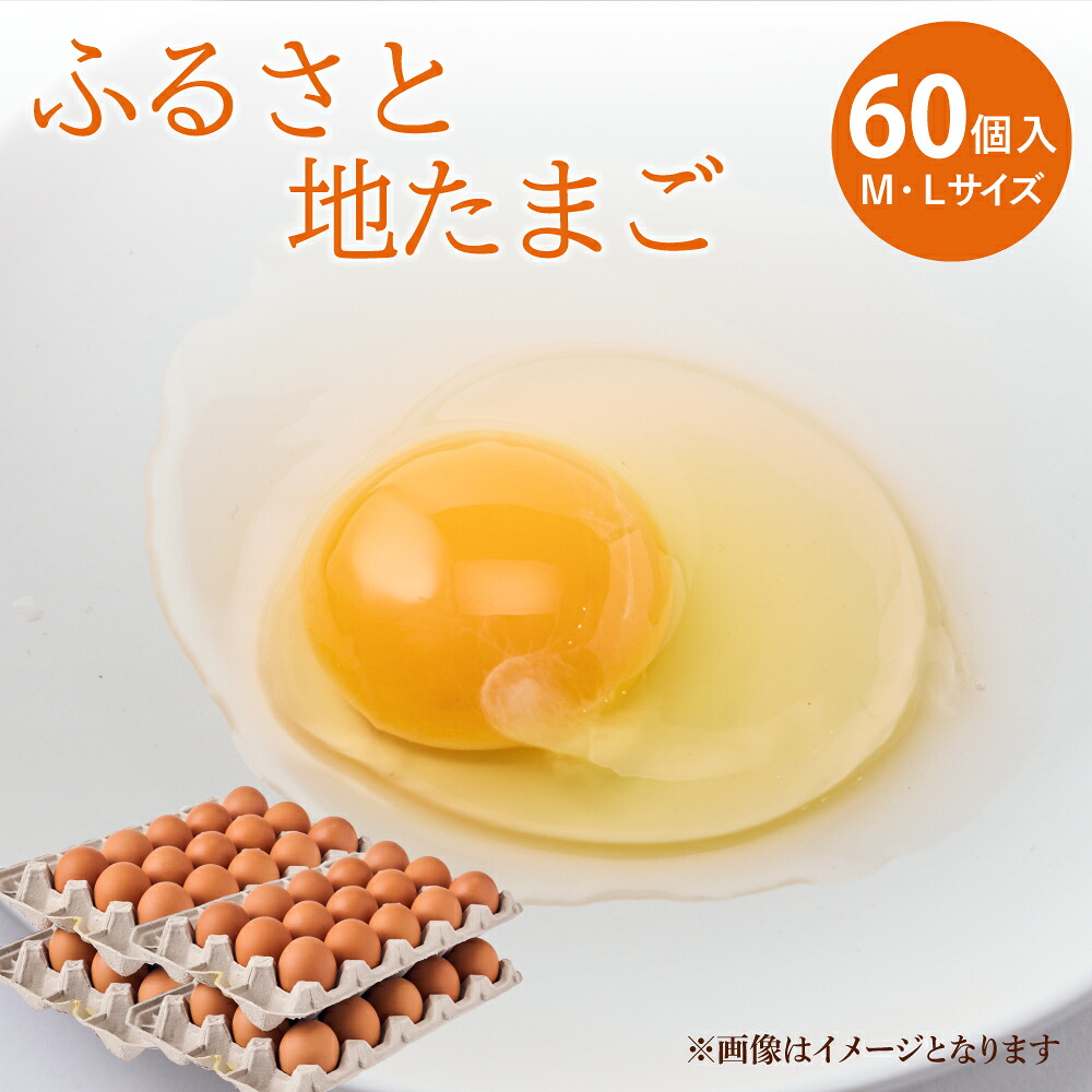 【ふるさと納税】 卵 ふるさと地たまご 60個入り 10個破損補償含む 赤たまご 60個　M・Lサイズ混合 国産 冷蔵 産地直送 鶏卵 送料無料 株式会社サン・ファーム｜熊本県宇城市