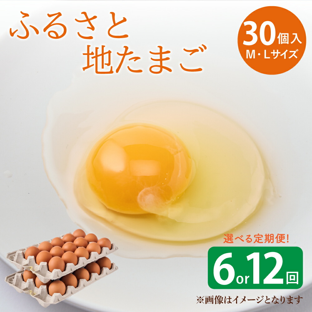 【ふるさと納税】 卵 【定期便】ふるさと地たまご 6回～12回 1回あたり30個 5個破損補償含む 赤たまご M・Lサイズ混合