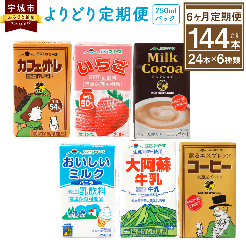 ふるさと納税 6ヶ月定期便 らくのうマザーズ250ml 24本入り パックよりどり 6種類 カフェオレ いちご ミルクココア 大阿蘇牛乳 コーヒー おいしいミルクバニラ 乳飲料 乳性飲料 らくのうマザーズ ドリンク 飲み物 飲料 セット 常温保存可能 ロングライフ 送料無料 Salt