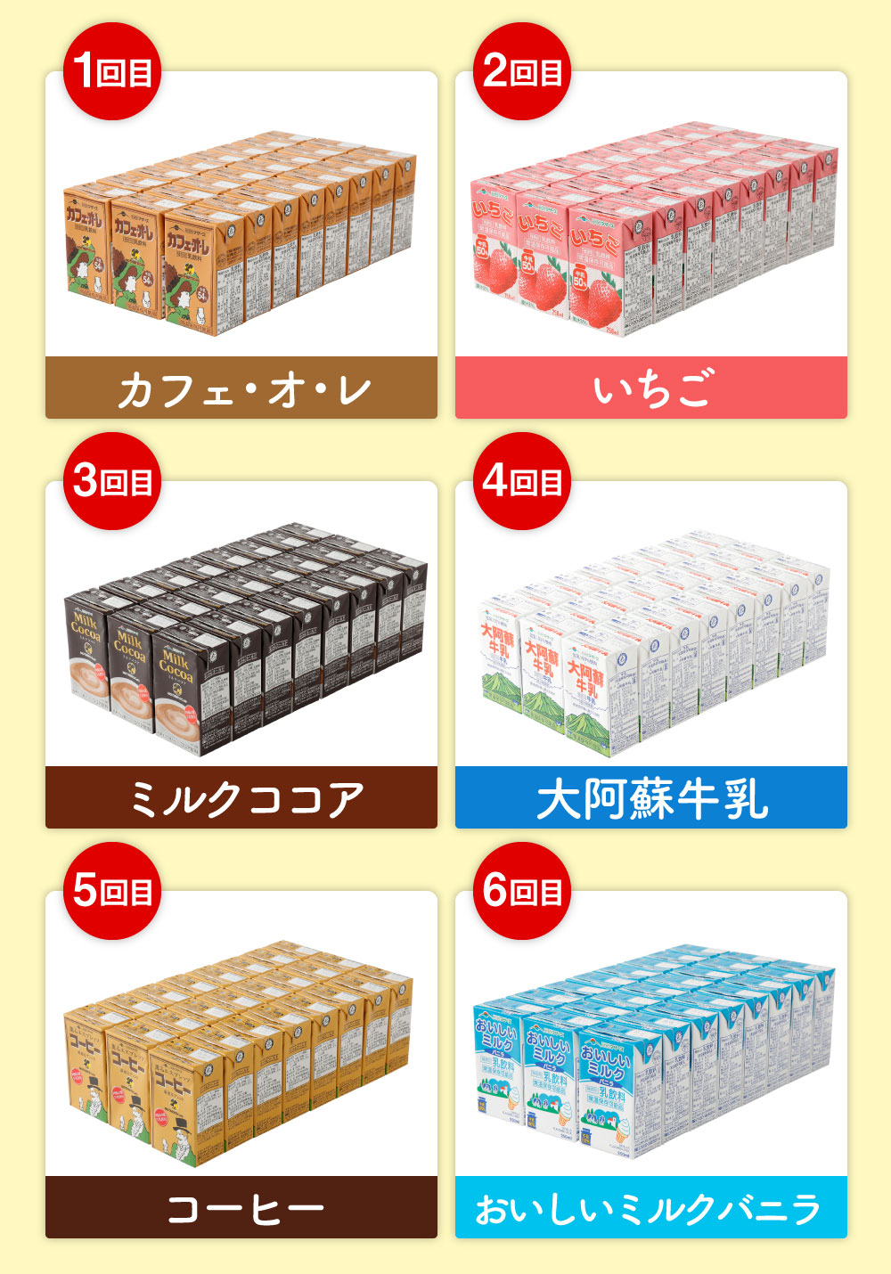 ふるさと納税 6ヶ月定期便 らくのうマザーズ250ml 24本入り パックよりどり 6種類 カフェオレ いちご ミルクココア 大阿蘇牛乳 コーヒー おいしいミルクバニラ 乳飲料 乳性飲料 らくのうマザーズ ドリンク 飲み物 飲料 セット 常温保存可能 ロングライフ 送料無料