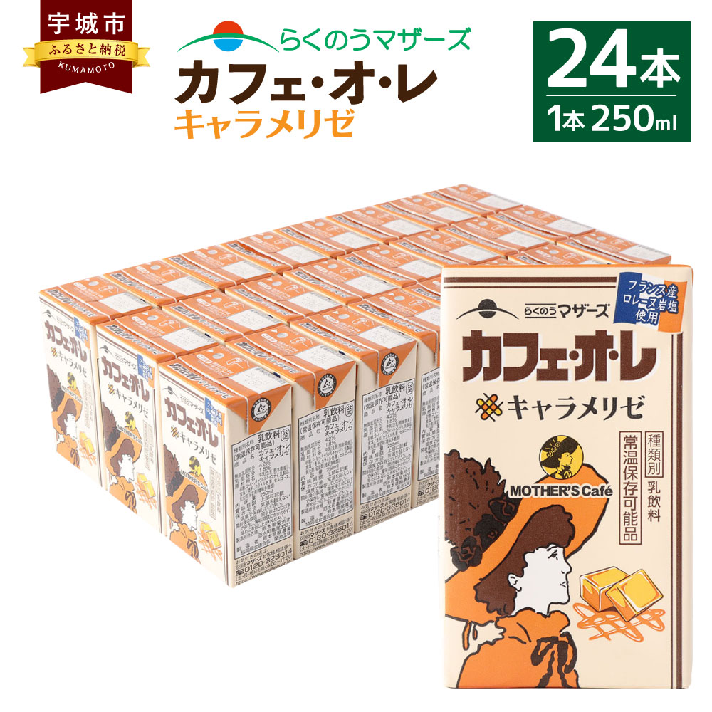 MOTHER'S Cafe カフェ オ レ キャラメリゼ 24本 250ml×24本 1ケース カフェオレ コーヒー牛乳 コーヒー キャラメル  フレーバーコーヒー らくのうマザーズ ドリンク 飲み物 飲料 セット 紙パック 常温保存可能 ロングライフ 送料無料 品多く