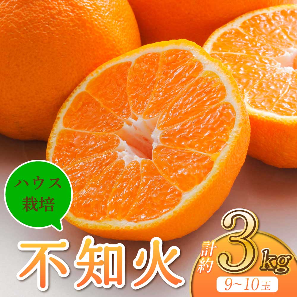 【ふるさと納税】宇城市産 ハウス栽培  不知火 約3kg 9～10玉前後 うちやま果樹園 【2025年2月下旬から6月下旬発送予定】