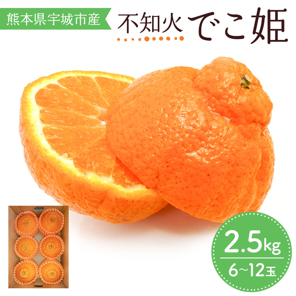 【ふるさと納税】【 先行予約 】 不知火 でこ姫 約2.5kg 6～12玉 吉田レモニー  【2025年4月上旬～2025年5月下旬発送】