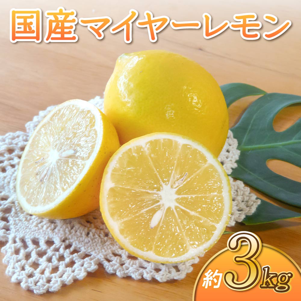 楽天市場】【ふるさと納税】 先行予約 国産 マイヤー レモン 約3kg (15