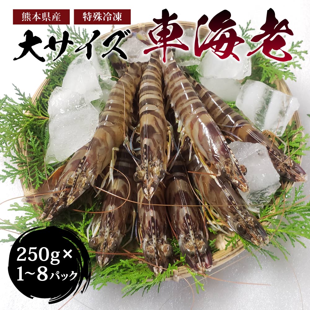 【ふるさと納税】 特殊冷凍 車海老 選べる内容量250g×1～8パック 計約250g～2000g (大サイズ) 吉本水産