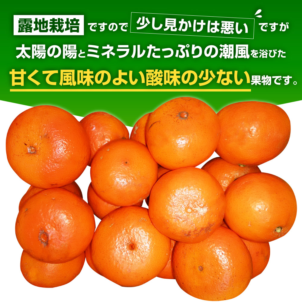 楽天市場 ふるさと納税 新品種 みはや ご家庭用 約3kg 約15 25玉 数量限定 吉田レモニー みかん 柑橘 訳あり果物 フルーツ 送料無料 熊本県宇城市