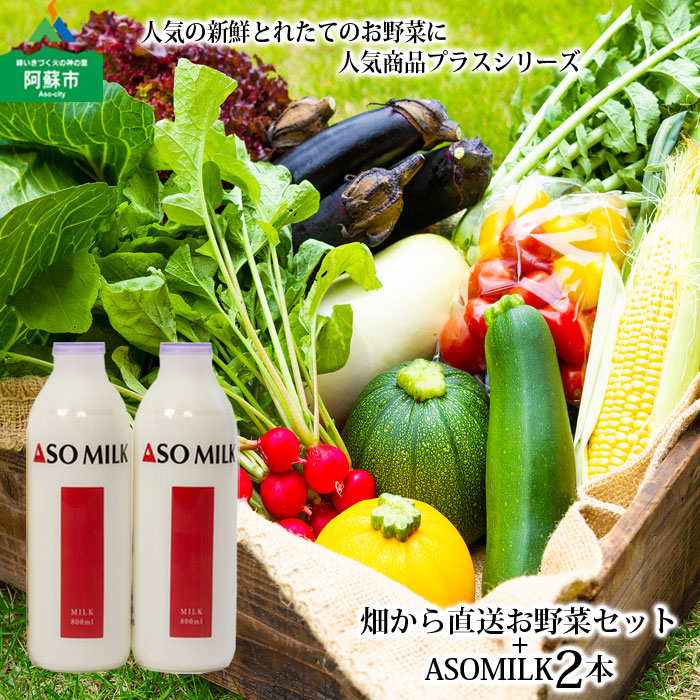 【ふるさと納税】ASOMILK 阿部牧場 阿蘇ミルク 牛乳 お野菜セット 季節の野菜 ASOMILK800ml×2本 セット 新鮮 旬 高原 お野菜5～10品 減農薬 産地直送 詰め合わせ 熊本県 阿蘇市