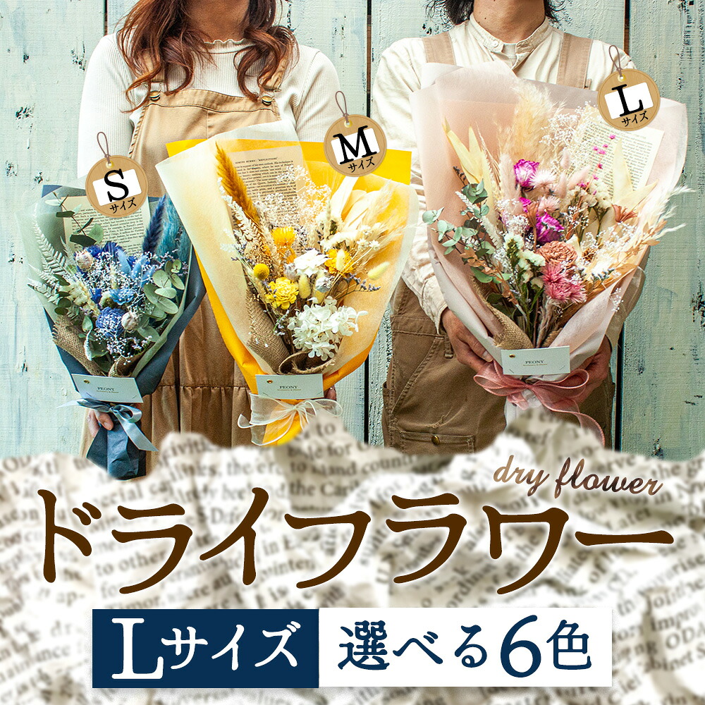 【ふるさと納税】好きな色で選べる！阿蘇のドライフラワー（Lサイズ） 高原 お取り寄せ ギフト 贈り物 お祝い お返し おうちじかん イベント 贈答用 サプライズ プロポーズ 感謝 可愛い 綺麗 素敵 熊本県 阿蘇市
