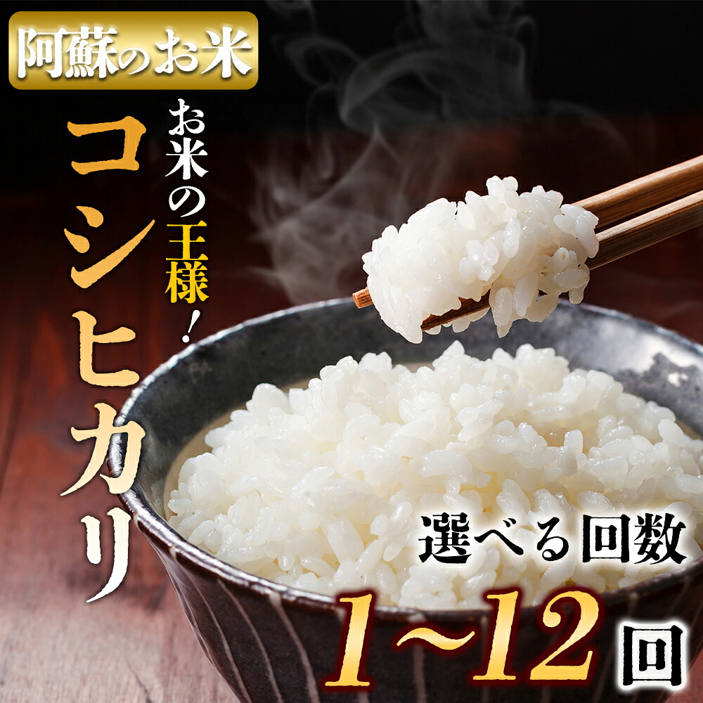 【ふるさと納税】お米 米 コシヒカリ 令和7年 選べる回数 5kg 定期購入 6回 12回 毎月 隔月 定期便 ふるさと納税 令和7年度 選べる 白米 こめ おこめ 阿蘇米 米 お米 美味しい 寒暖差 湧き水 お取り寄せ 食卓 豪華 贅沢 自然 湧水 熊本県 阿蘇市|熊本県阿蘇市