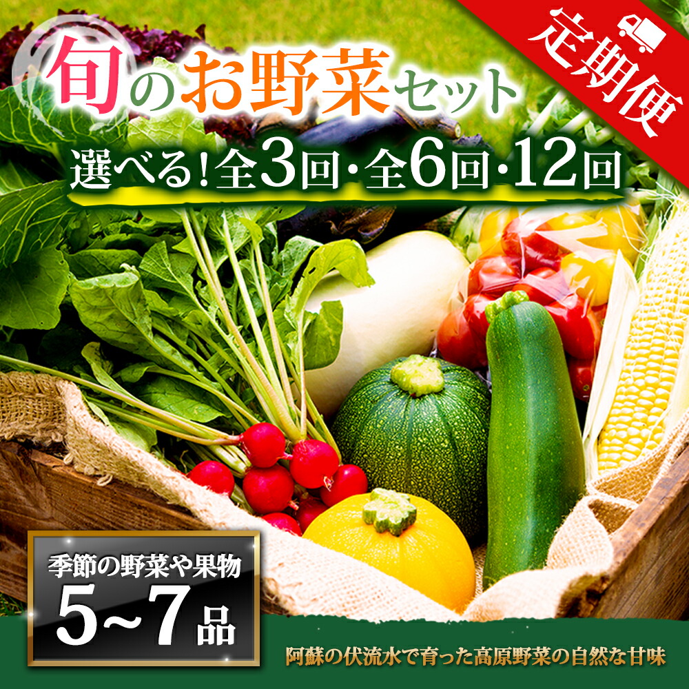 【ふるさと納税】【定期便】畑から直送 季節のお野菜セット Mサイズ 3回 6回 12回 定期便 野菜 4~6品 定期便 ふるさと納税 全6回 全12回 詰め合わせ セット 新鮮 減農薬 高原 旬 産地直送 野菜 果物 フルーツ 採れたて 甘い 美味しい 人気 安心 安全 熊本県 阿蘇市