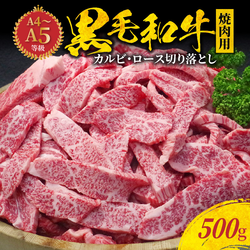 楽天市場】【ふるさと納税】熊本県 絶品 霜降り 肉 牛 黒毛和牛 モモ