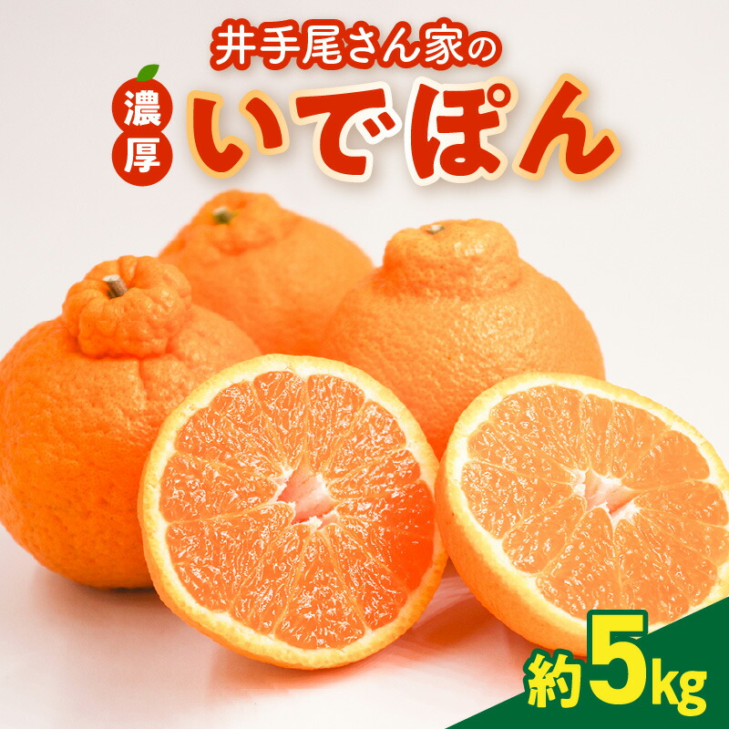 数量限定❗お得な熊本産ポンカン(^o^) 楽天市場】熊本 ポンカン 贈答の通販