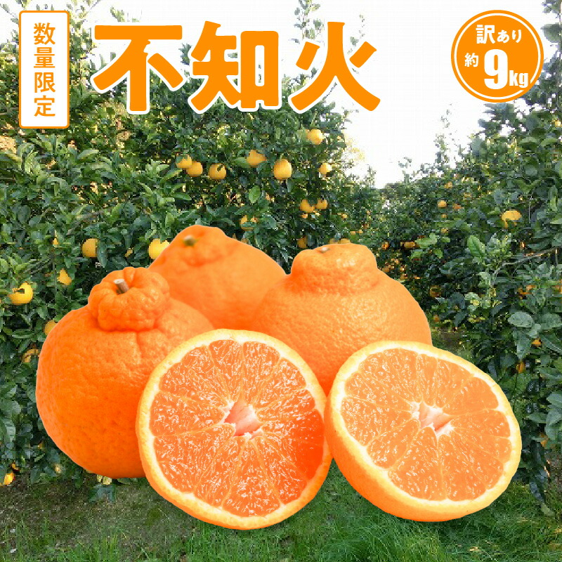 楽天市場】【ふるさと納税】先行予約 天草ポンカン 約 7.5kg 家庭用