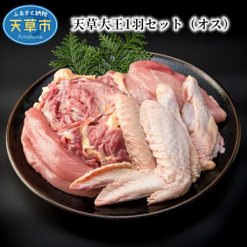 【ふるさと納税】鶏肉 1羽 セット 1.7kg 前後 もも肉 むね肉 ササミ 手羽先 手羽元 地鶏 天草大王 オス ジューシー 冷凍 プロトン凍結  唐揚げ 炙り焼き サラダ バーベキュー おうちごはん パーティー 熊本県 天草市 お取り寄せ お取り寄せグルメ 国産 食品 送料無料