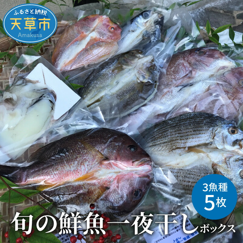 楽天市場】【ふるさと納税】鮮魚 セット 海の幸 旬 魚 詰合せ 海水シャーベット 定置網 獲れたて 指定日 可 : 熊本県天草市