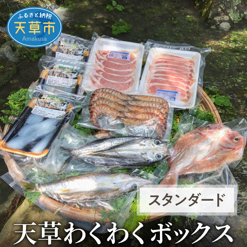 楽天市場】【ふるさと納税】鮮魚 セット 海の幸 旬 魚 詰合せ 海水シャーベット 定置網 獲れたて 指定日 可 : 熊本県天草市