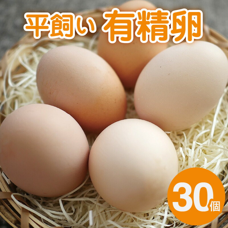 【ふるさと納税】こだわり 平飼い 有精卵 30個 安全 濃厚 自家配合飼料 自然資源 ホルモン剤 ビタミン剤 不使用 卵 生卵 鶏卵 美味しい 卵かけご飯 卵焼き 熊本県 天草市 愛らん農園 お取り寄せ お取り寄せグルメ 送料無料