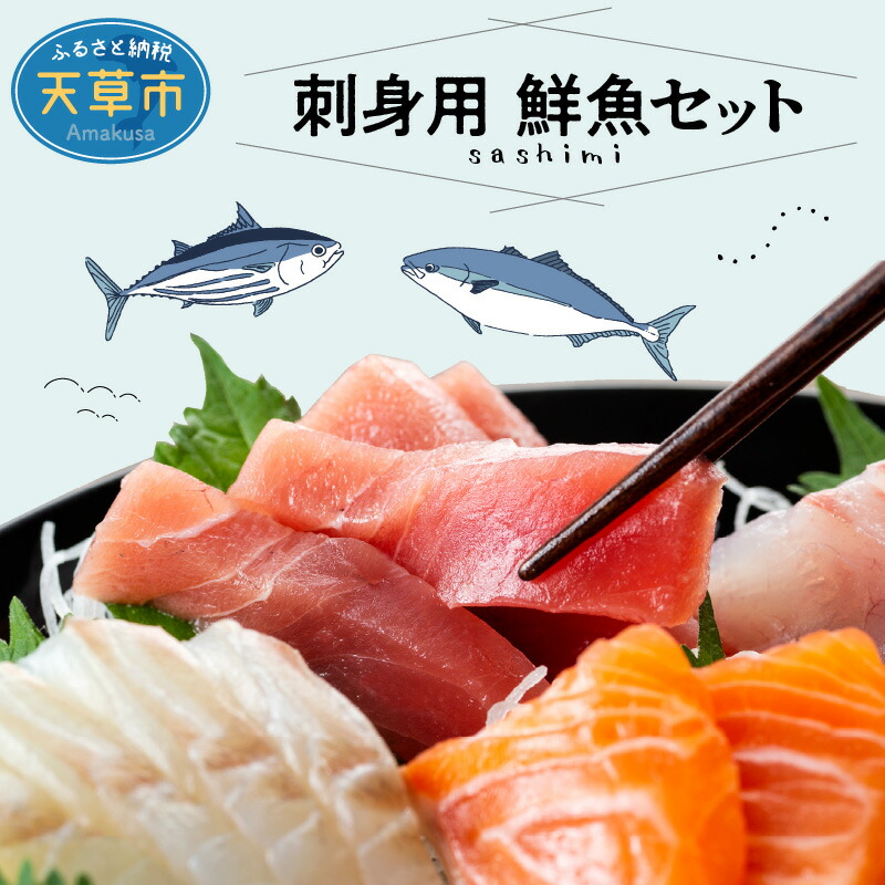 楽天市場】【ふるさと納税】鮮魚 セット 海の幸 旬 魚 詰合せ 海水シャーベット 定置網 獲れたて 指定日 可 : 熊本県天草市