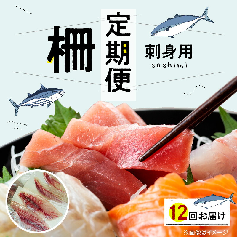 【ふるさと納税】【定期便12回】 お刺身用 柵 毎月1回 600g 前後 カットするだけ 新鮮 天然 鮮魚 旬 冷蔵 刺身 ブロック 真空パック 下処理済み 海鮮 魚介類 魚 簡単 調理 時短 海の幸 寿司 手巻き寿司 海鮮丼 食品 お取り寄せ グルメ 木戸鮮魚店 熊本県 天草市 送料無料