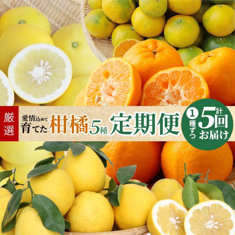楽天市場】【ふるさと納税】ポンカン 約7.5kg 柑橘 100年ぽん