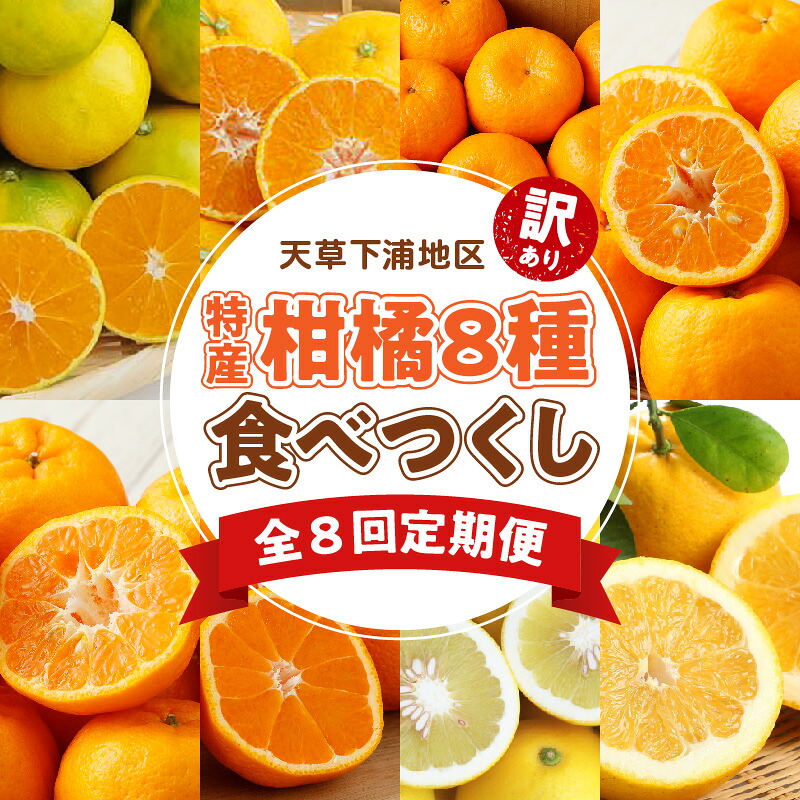 【ふるさと納税】訳あり 定期便 8回 果物 早生温州ミカン 完熟 ポンカン 不知火 パール柑 晩柑 フルーツ 柑橘 果汁 産地直送 ご家庭用 常温 天草産 熊本県 九州 お取り寄せフルーツ 送料無料