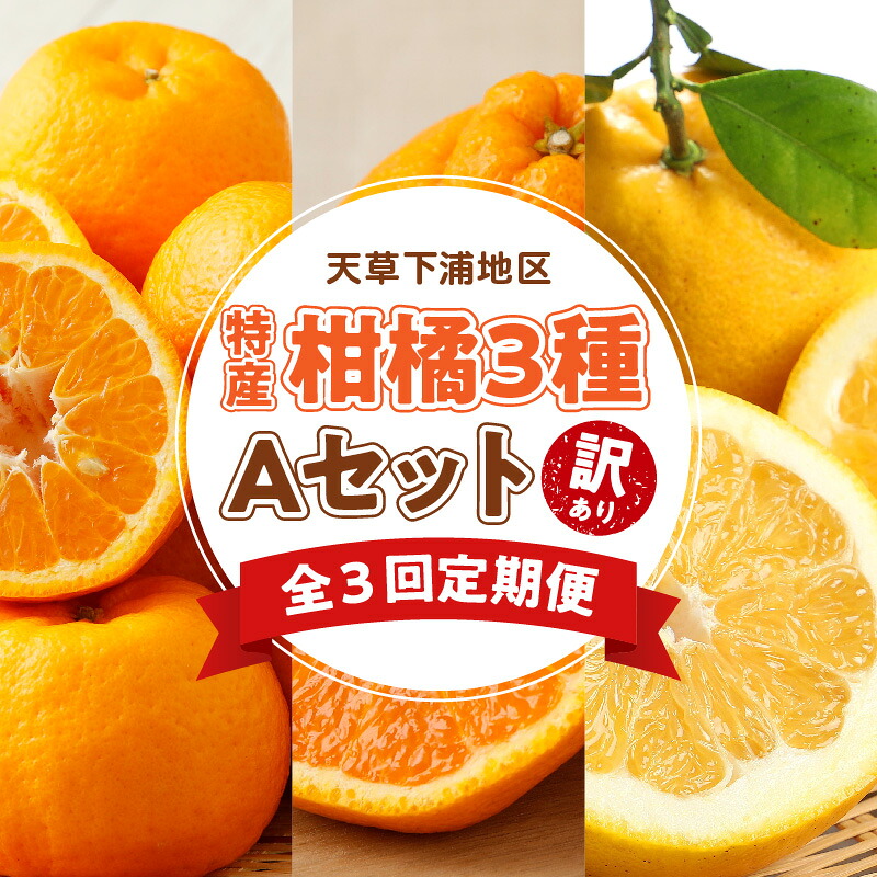【ふるさと納税】訳あり 定期便 3回 Aセット 果物 ポンカン 不知火 晩柑 木成り 高糖度 さっぱり フルーツ 柑橘 果汁 産地直送 ご家庭用 常温 天草産 熊本県 九州 お取り寄せフルーツ 送料無料｜熊本県天草市